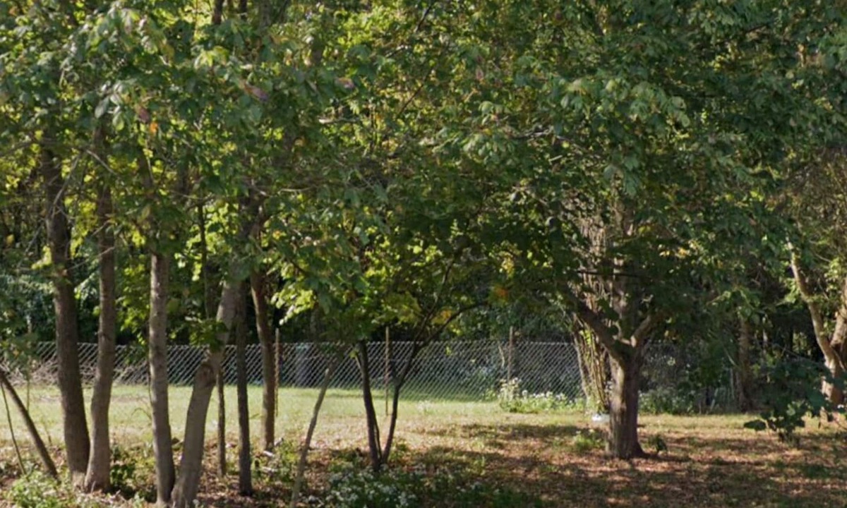 Murphysboro RV Rental | Eclipse Campsite 3