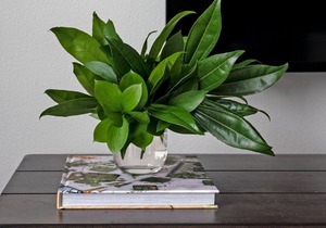 Professionally-cleaned 1BD Loft at the heart of Jackson | Barsala
