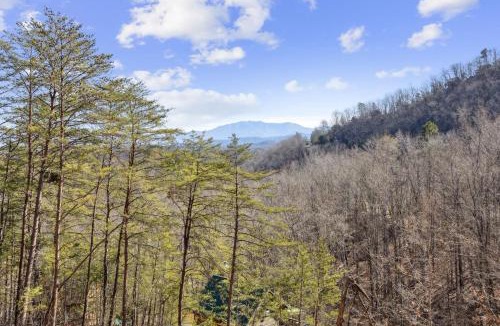 Sevierville House | Fawn Hill Hideaway Stunning views Perfect escape