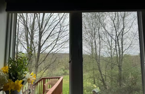 Willseyville Cottage | Frog Cottage