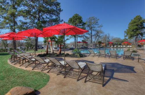Willis Resort | Lake Conroe Queen Studio Cabin 5