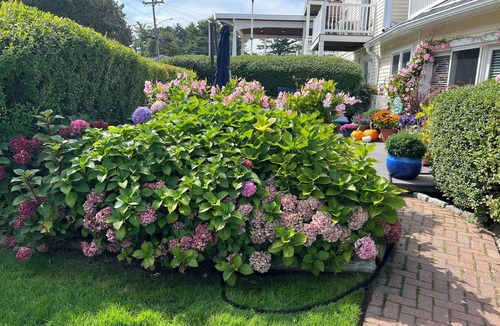 Ogunquit Apartment | Ocean Views from oversized patio - Ogunquit Condominium