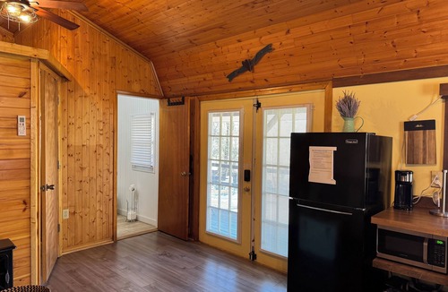Smoky Mountains Cabin | SMALL RUSTIC cabin, AC/heat, WiFi, dog friendly