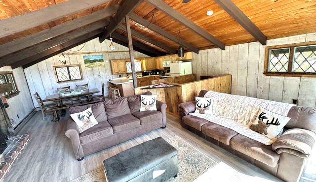 Bartlett Cabin with Saco River Access