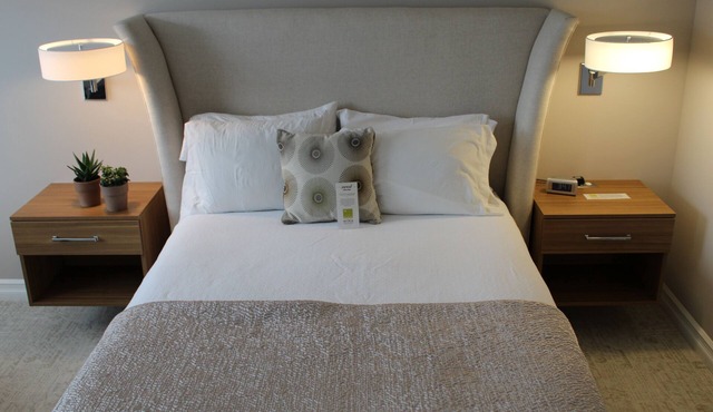 Executive Queen Room in Charming Minneapolis Boutique Hotel in Minneapolis