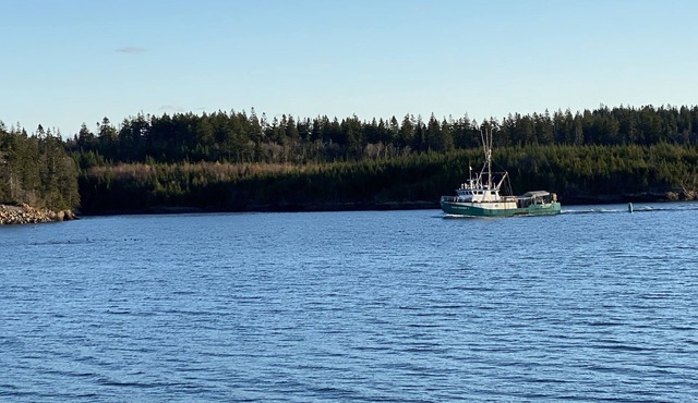 Waterfront House, Starlink internet, good parking lot, 2 bedrooms in Blacks Harbour