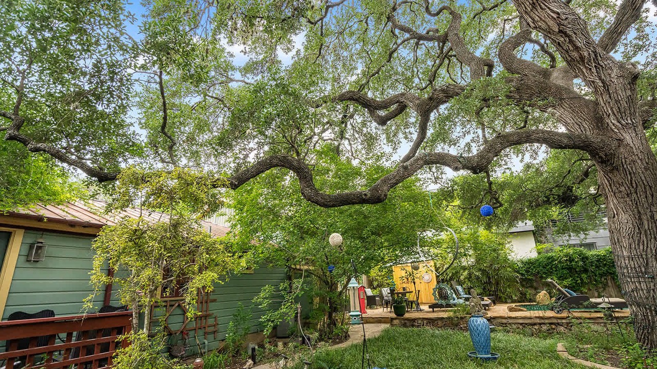 Photo of Outdoor in Travis Heights