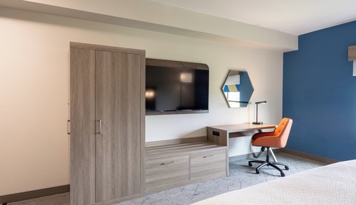 Standard Room, 1 King Bed, Roll-in Shower