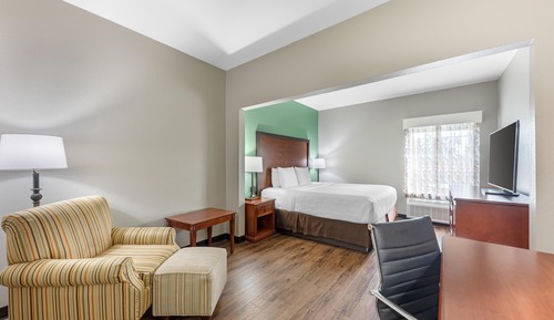 Suite, 1 King Bed, Non Smoking, Refrigerator & Microwave (with Sofabed)