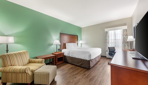 Standard Room, 1 King Bed, Accessible, Refrigerator & Microwave