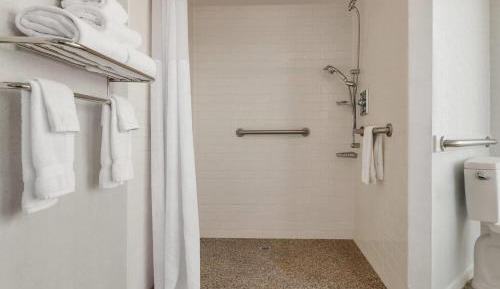 King Room with Roll-in Shower - Mobility Access/Non-Smoking